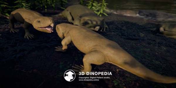 Triassic period Hyperodapedon 3D Dinopedia