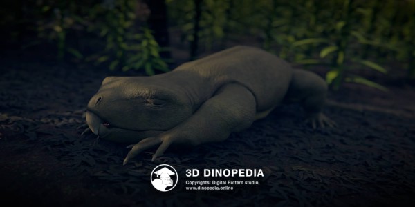 Triassic period Hyperodapedon 3D Dinopedia
