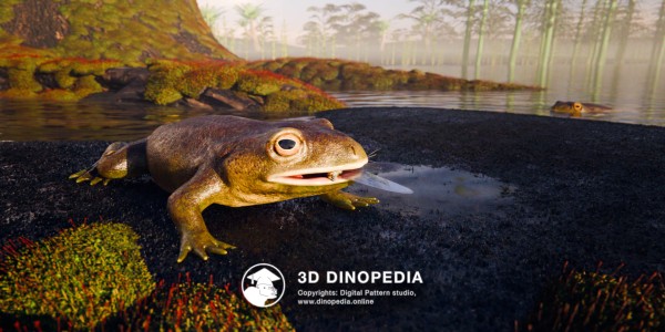 Triassic period Triadobatrachus 3D Dinopedia