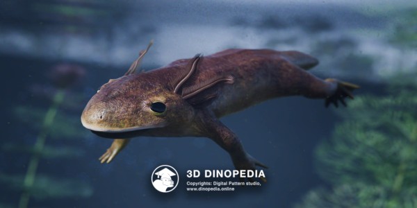 Triassic period Triadobatrachus 3D Dinopedia