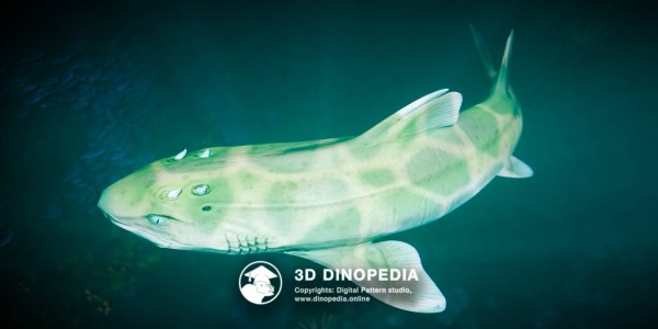 Jurassic period Hybodus 3D Dinopedia