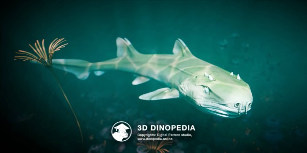 Jurassic period Hybodus 3D Dinopedia