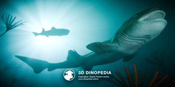 Jurassic period Hybodus 3D Dinopedia