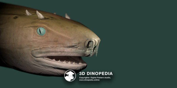 Jurassic period Hybodus 3D Dinopedia
