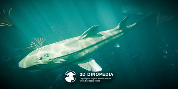 Jurassic period Hybodus 3D Dinopedia