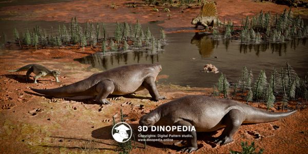 Пермский период Котилоринх 3D Dinopedia