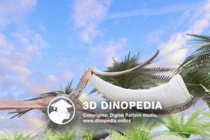 Cretaceous period Pterodaustro 3D Dinopedia