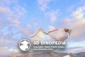 Cretaceous period Pterodaustro 3D Dinopedia