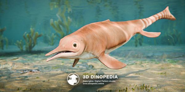 Triassic period Chaohusaurus 3D Dinopedia