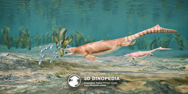 Triassic period Chaohusaurus 3D Dinopedia