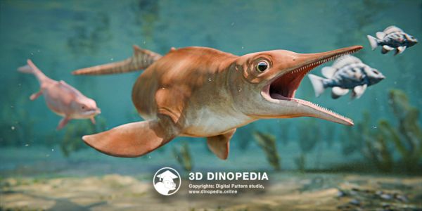 Triassic period Chaohusaurus 3D Dinopedia