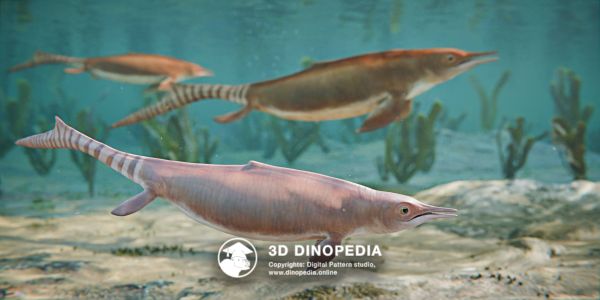 Triassic period Chaohusaurus 3D Dinopedia