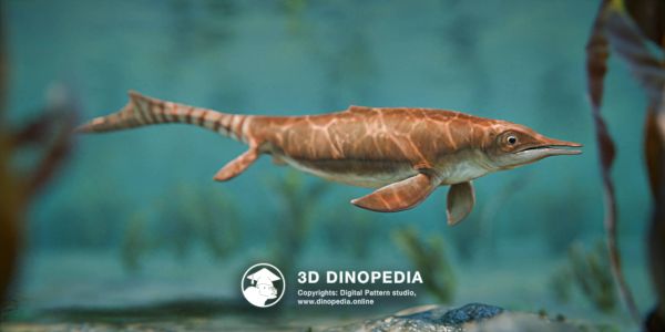 Triassic period Chaohusaurus 3D Dinopedia