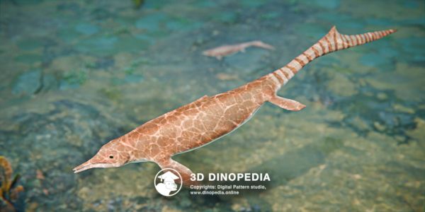 Triassic period Chaohusaurus 3D Dinopedia