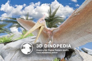 Cretaceous period Pteranodon 3D Dinopedia