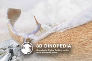 Cretaceous period Pteranodon 3D Dinopedia