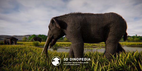 Período Neógeno Gomfoterio 3D Dinopedia