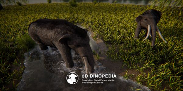Período Neógeno Gomfoterio 3D Dinopedia