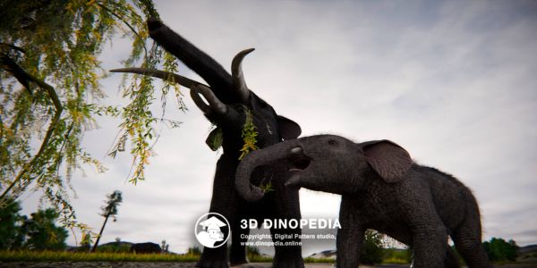 Período Neógeno Gomfoterio 3D Dinopedia