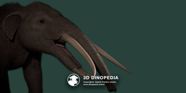 Período Neógeno Gomfoterio 3D Dinopedia
