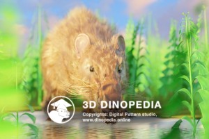 Юрский период Мегазостродон 3D Dinopedia