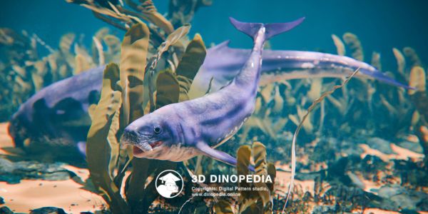 Período Neógeno Odobenocetops 3D Dinopedia
