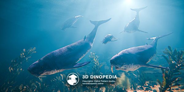 Período Neógeno Odobenocetops 3D Dinopedia