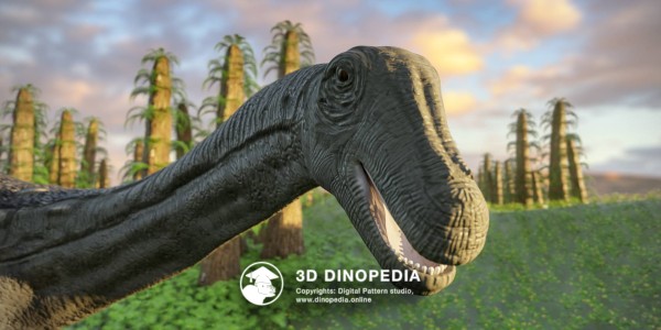 Cretaceous period Saltasaurus 3D Dinopedia