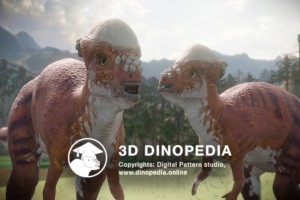 Cretaceous period Pachycephalosaurus 3D Dinopedia