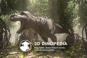 Cretaceous period Tyrannosaurus 3D Dinopedia