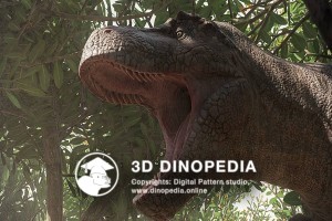 Cretaceous period Tyrannosaurus 3D Dinopedia