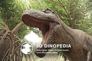 Cretaceous period Tyrannosaurus 3D Dinopedia