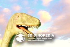 Triassic period Coelophysis 3D Dinopedia