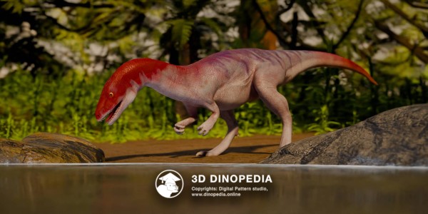 Triassic period Eoraptor 3D Dinopedia