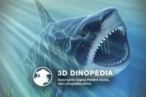 Neogene period Megalodon 3D Dinopedia