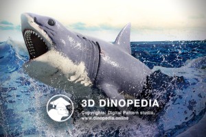 Neogene period Megalodon 3D Dinopedia