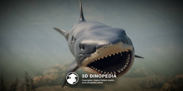 Неогеновый период Мегалодон 3D Dinopedia