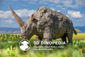 Quaternary period Elasmotherium 3D Dinopedia