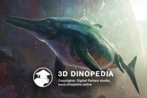 Jurassic period Stenopterygius 3D Dinopedia