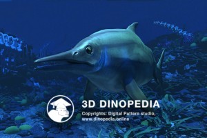 Jurassic period Stenopterygius 3D Dinopedia