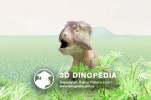 Cretaceous period Archaeoceratops 3D Dinopedia