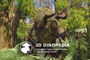 Cretaceous period Nasutoceratops 3D Dinopedia