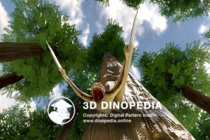 Jurassic period Anurognathus 3D Dinopedia