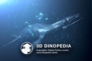 Jurassic period Liopleurodon 3D Dinopedia