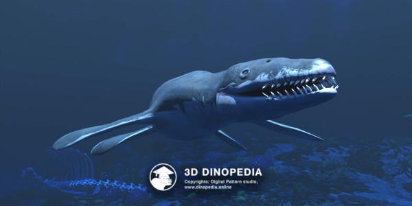 Liperodon Tree Liopleurodon | 3D Dinopedia