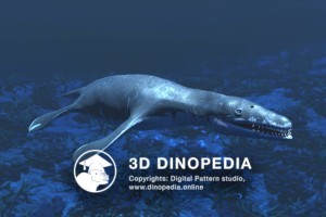 Jurassic period Liopleurodon 3D Dinopedia