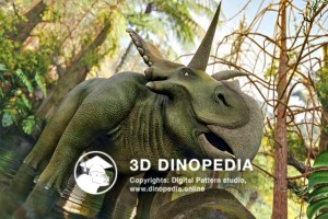 Cretaceous period Medusaceratops 3D Dinopedia