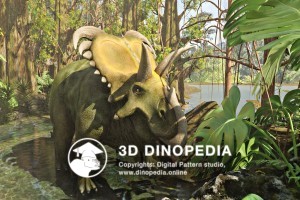 Cretaceous period Medusaceratops 3D Dinopedia