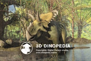 Cretaceous period Medusaceratops 3D Dinopedia