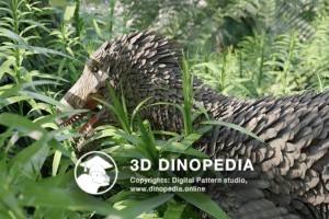 Deinonychus  3D Dinopedia